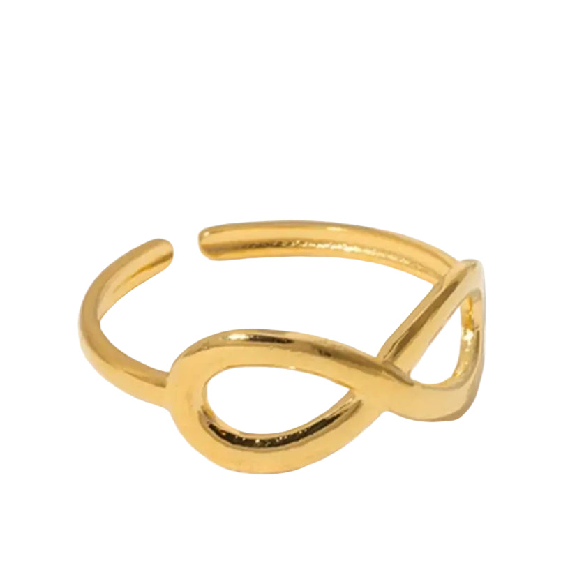 Amna Infinity Ring | Adjustable Infinity Ring