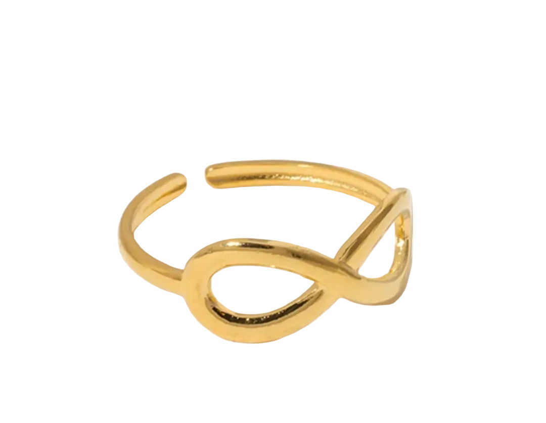 Amna Infinity Ring | Adjustable Infinity Ring