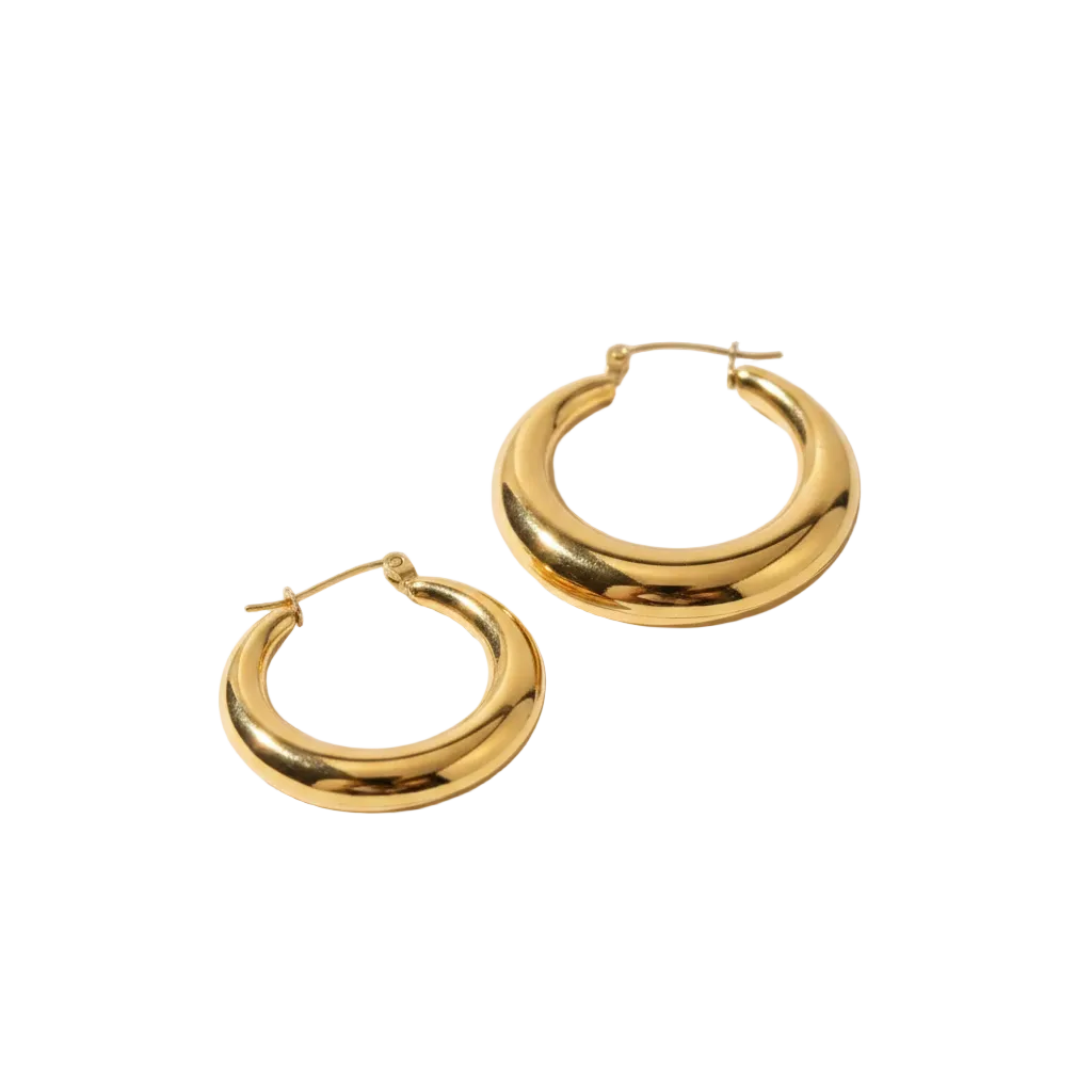 Hoop Earrings